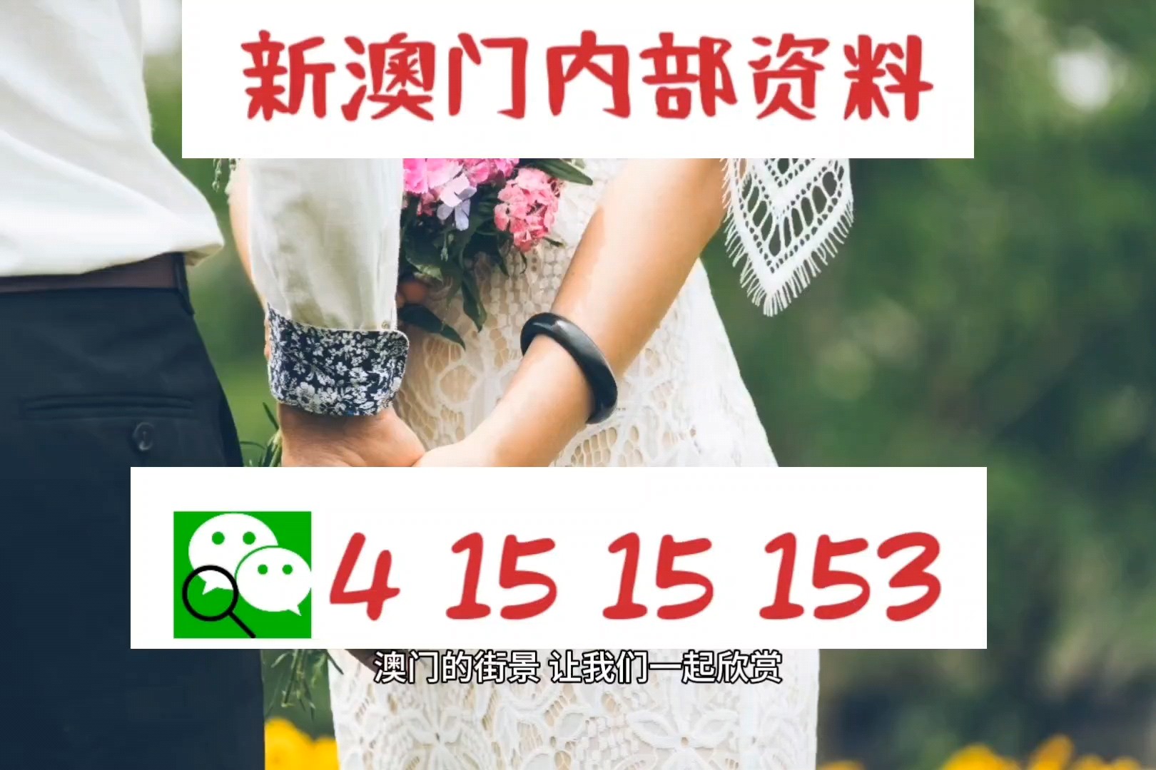 新奥门管家婆免费大全,新澳门管家婆免费大全——探索现代博彩娱乐的新领域