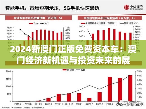 新澳门马会资料10码中特|精选解释解析落实