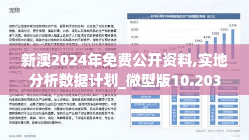 新澳2025年精准资料期期,新澳2025年精准资料期期研究分析