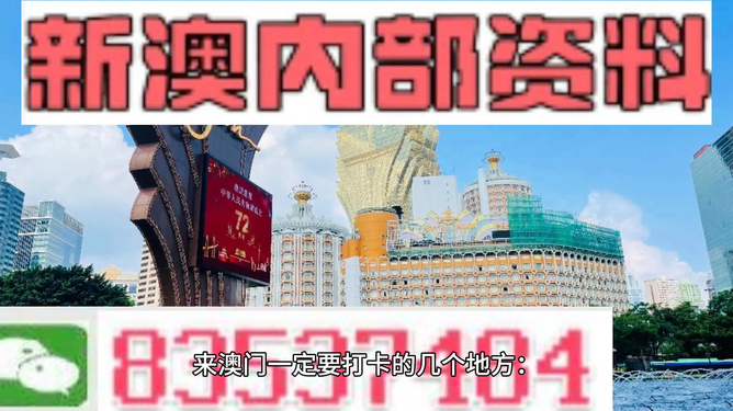 新澳门内部精准二肖,新澳门内部精准二肖——探索与解析